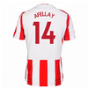 2017-18 Stoke City Home Shirt (Afellay 14)