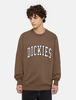Dickies Aitkin Sweatshirt Man Brown Size M