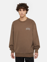Dickies Aitkin Sweatshirt Man Brown Size XL