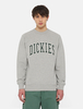 Dickies Aitkin Sweatshirt Man Forest Size XS