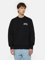 Dickies Aitkin Sweatshirt Woman Black/coronet Blue Size XS