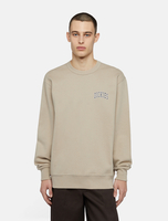 Dickies Aitkin Sweatshirt Woman Sandstone Size 2XL
