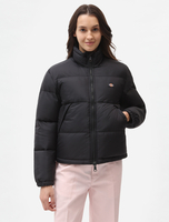 Dickies Alatna Jacket Man Black Size L