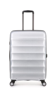 Juno Metallic Medium Suitcase Silver