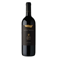 Elena Walch - Alto Adige Merlot Riserva Doc Vigna Kastelaz 2019