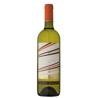 Elena Walch - Vino Bianco Ewa 2022