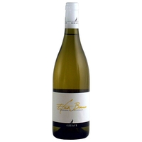Etna Bianco Doc 2019