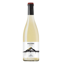 Etna Bianco Scalunera Doc 2019