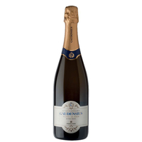 Etna Metodo Classico Brut Blanc De Noirs Doc Gaudensius
