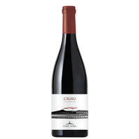 Etna Rosso Doc Cauru 2019