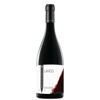 Etna Rosso Doc Lavico 2020
