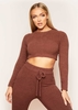Clarina Mocha Teddy Borg Long Sleeve Crop Top