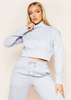 Monica Grey Thick High Neck Cropped Jumper