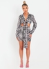 Verity Zebra Satin Mini Skirt Co-Ord