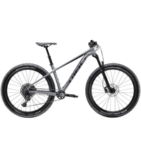 2019 Trek Roscoe 8 Hardtail Mountain Bike in Gret