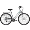 2019 Trek T200 Midstep Womens Hybrid in Silver