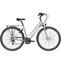 2019 Trek T200 Midstep Womens Hybrid in Silver