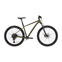 2020 Cannondale Cujo 2 Hardtail Mountain Bike in Green