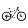 2020 Cannondale Cujo 2 Hardtail Mountain Bike in Green
