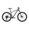 2020 Cannondale Cujo 2 Hardtail Mountain Bike in Green