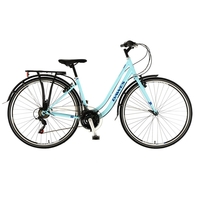 2020 Dawes Windermere Low Step City Bike