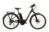 2020 Raleigh Motus Low Step Electric Hybrid Bike Grey