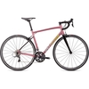 2020 Specialized Allez Road Bike in Lilac