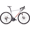 2020 Specialized Roubaix Comp Carbon Road Bike in Grey