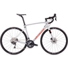 2020 Specialized Roubaix Comp Carbon Road Bike in Grey