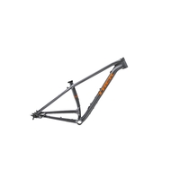 2020 Trek 1120 Hardtail Mountain Bike Frame in Grey