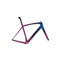 2020 Trek Domane SL Disc Carbon Road Bike Frameset in Purple