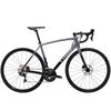 2020 Trek Emonda ALR 5 Disc Road Race Bike in Slate/Black