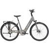 2020 Trek Verve+ 5 Lowstep Electric Hybrid in Grey