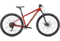 2021 Rockhopper Elite hardtail mountain bike in redwood and spruce
