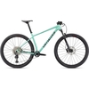 2021 Specialized Chisel Hardtail Mountain Bike in Gloss Oasis