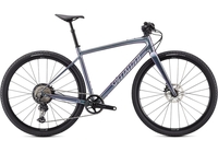 2021 Specialized Diverge Expert Evo in Chrome