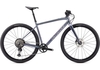 2021 Specialized Diverge Expert Evo in Chrome