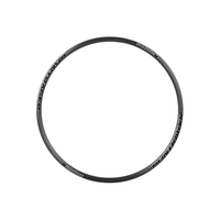 Bontrager Paradigm Elite Disc 700C 24H Rim in Grey