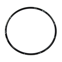 Bontrager Race Lite 29 PV 28H Rim in Black