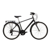 Raleigh Pioneer 2019 Hybrid Bike Black