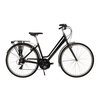 Raleigh Pioneer Grand Tour Low Step 2019 Womens Hybrid Bike Gunmetal