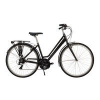 Raleigh Pioneer Grand Tour Low Step 2019 Womens Hybrid Bike Gunmetal