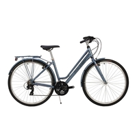 Raleigh Pioneer Low Step 2019 Womens Hybrid Bike Blue