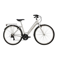 Raleigh Pioneer Low Step 2019 Womens Hybrid Bike Silver