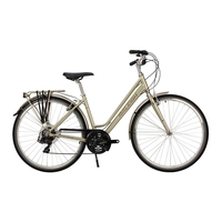 Raleigh Pioneer Tour Low Step 2019 Womens Hybrid Bike Sage