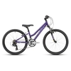 Ridgeback Destiny 24 Inch Wheel Kids Bike in Purple