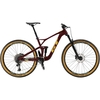 Sensor Carbon Expert 2019 Mountain Bike
