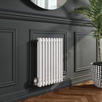 Nambi White 2 Column Horizontal Radiator - 600 x 423mm