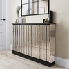 Narrow Mirrored Radiator Cover with Black Detail - Sophia