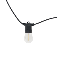 10 Pack of Burke Outdoor Solar Festoon Lights,  Black